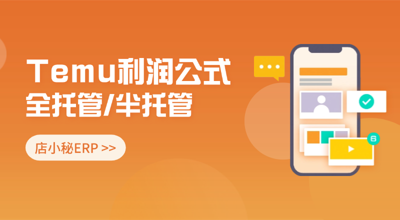 TEMU利润公式